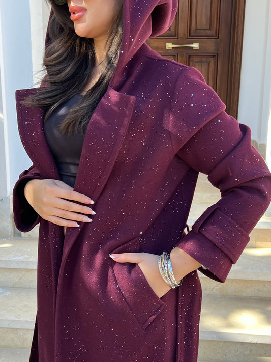 hoodie sparkly coat